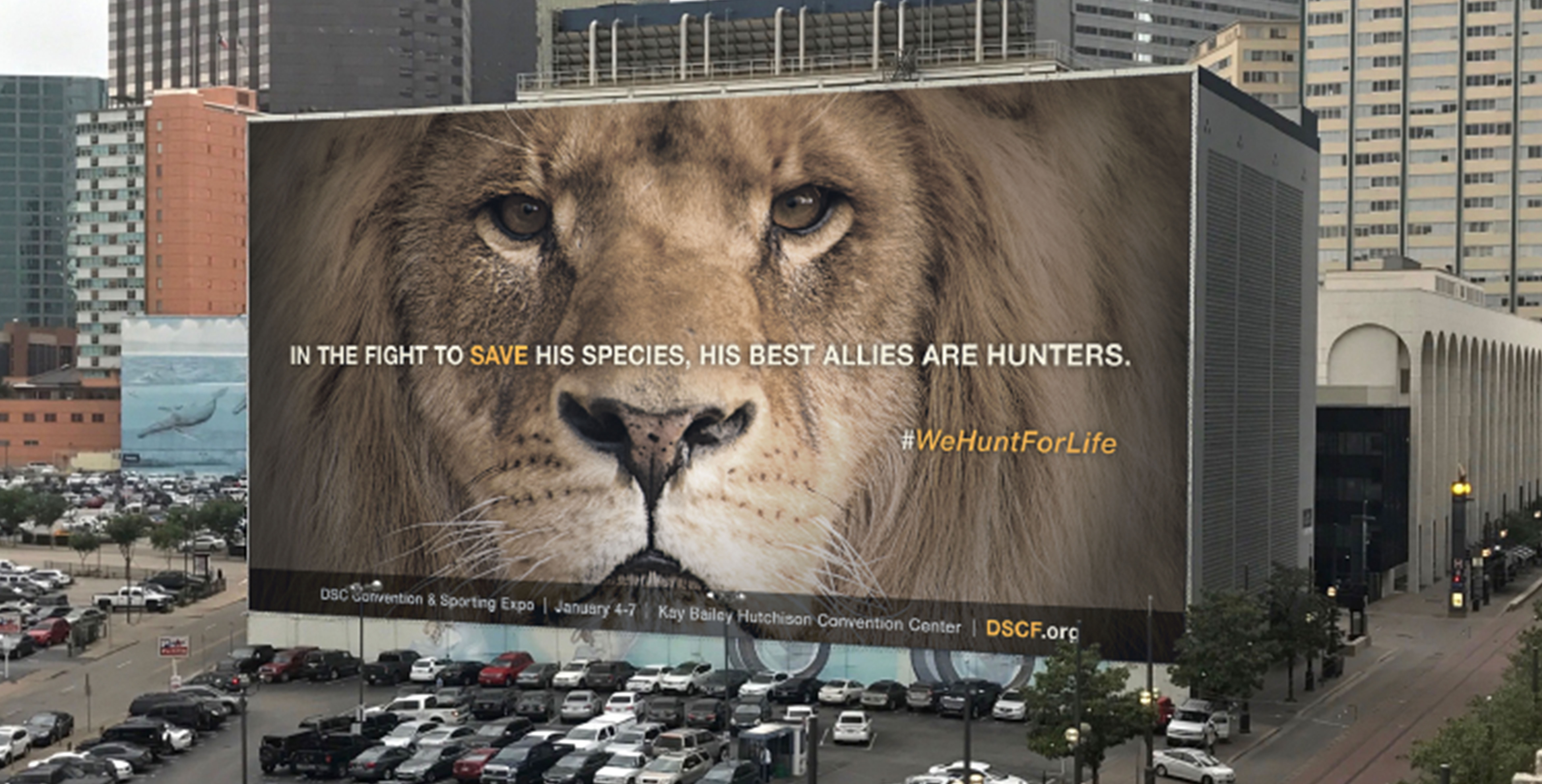 lionhunters-board