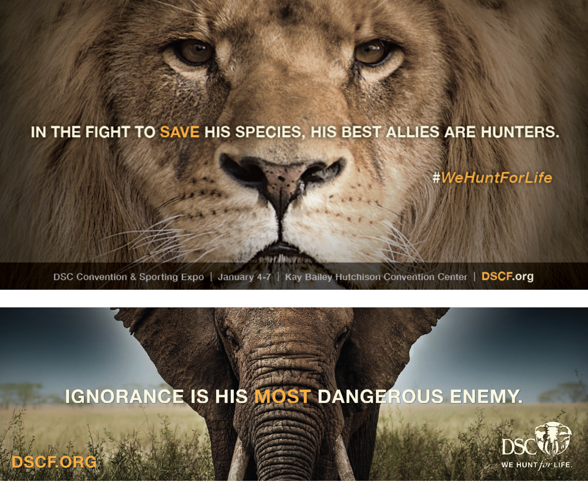 outdoor-campaign